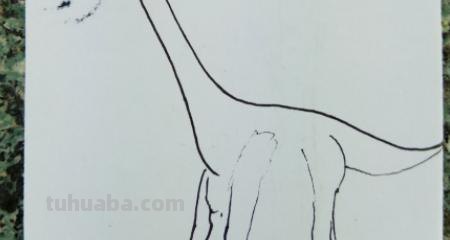 龙怎么画简笔画 简笔画-如何画龙头的简笔画? 龙怎么画简笔画 简笔画-如何画龙头的简笔画?