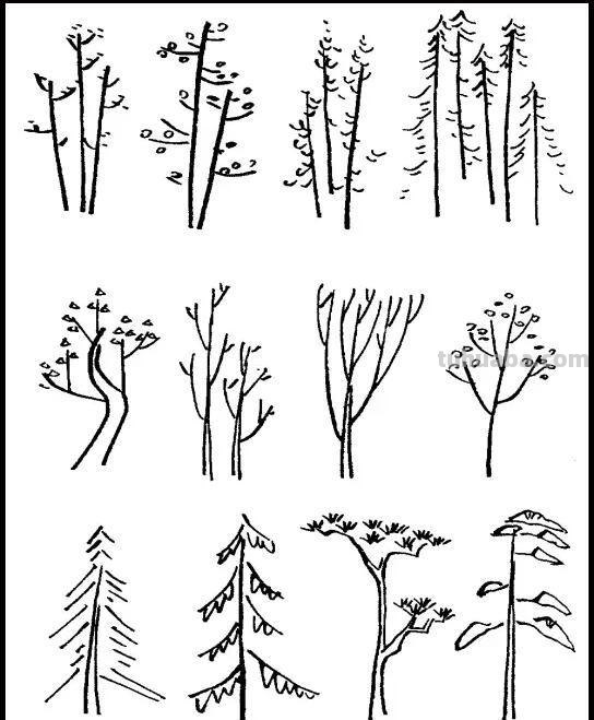 每天学一幅简笔画-静物简笔画的画法