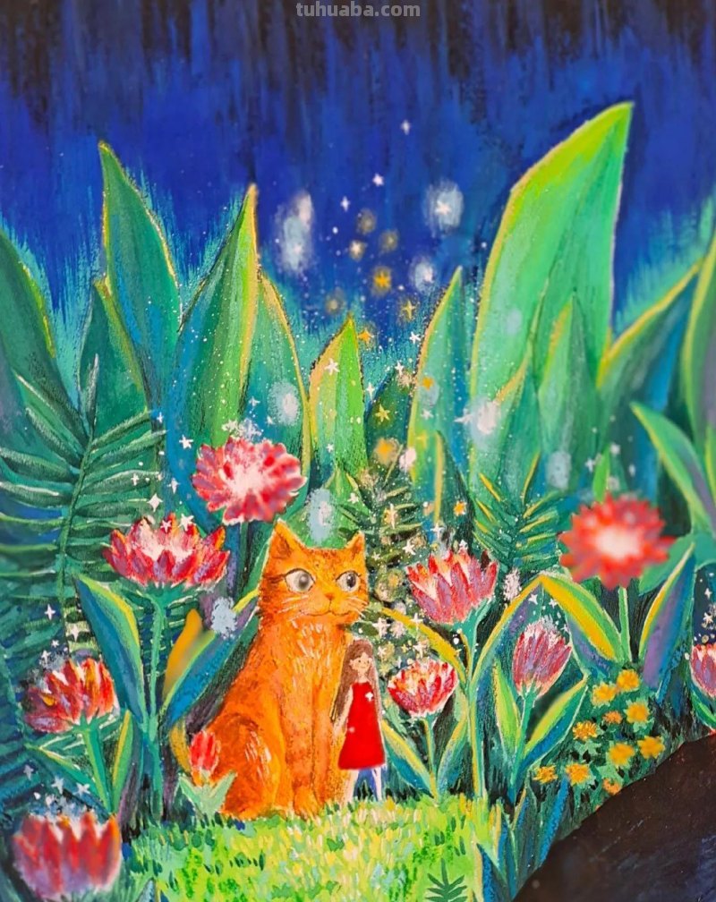 水彩画，插画鲜艳的色彩，超赞的设计，你喜欢哪一幅