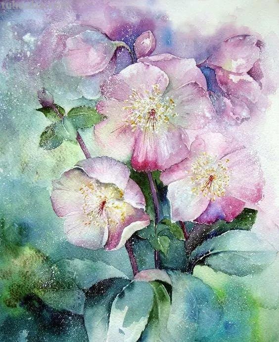 水彩画，插画鲜艳的色彩，超赞的设计，你喜欢哪一幅