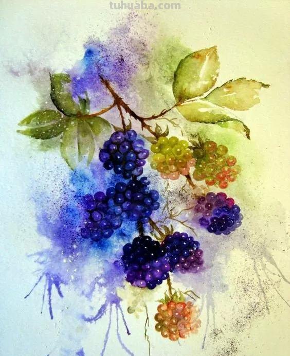 水彩画，插画鲜艳的色彩，超赞的设计，你喜欢哪一幅