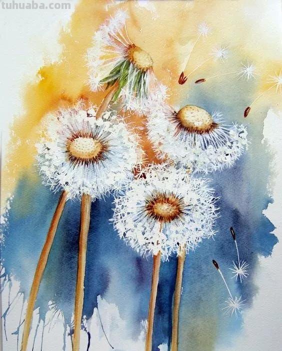 水彩画，插画鲜艳的色彩，超赞的设计，你喜欢哪一幅