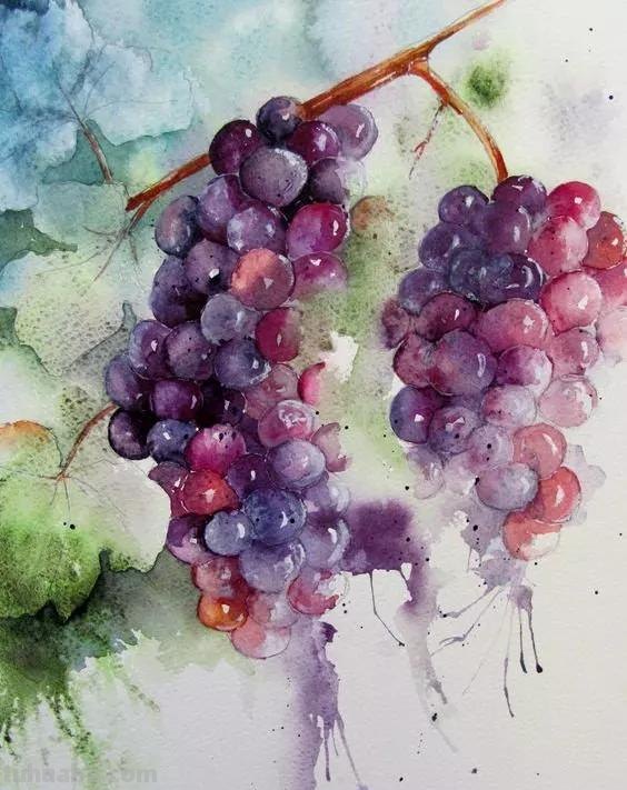 水彩画，插画鲜艳的色彩，超赞的设计，你喜欢哪一幅