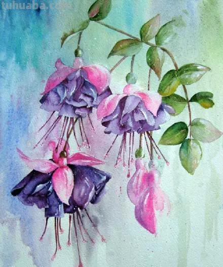 水彩画，插画鲜艳的色彩，超赞的设计，你喜欢哪一幅