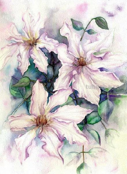 水彩画，插画鲜艳的色彩，超赞的设计，你喜欢哪一幅