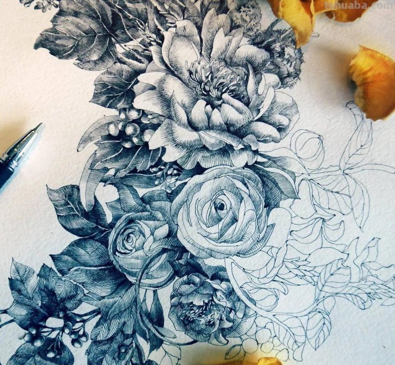 美醉，水彩女神笔下的插画，27万粉丝之疯狂，一笔一画吹爆了