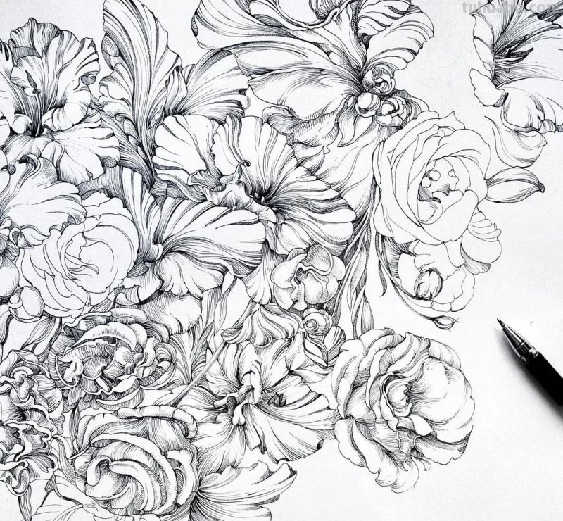 美醉，水彩女神笔下的插画，27万粉丝之疯狂，一笔一画吹爆了