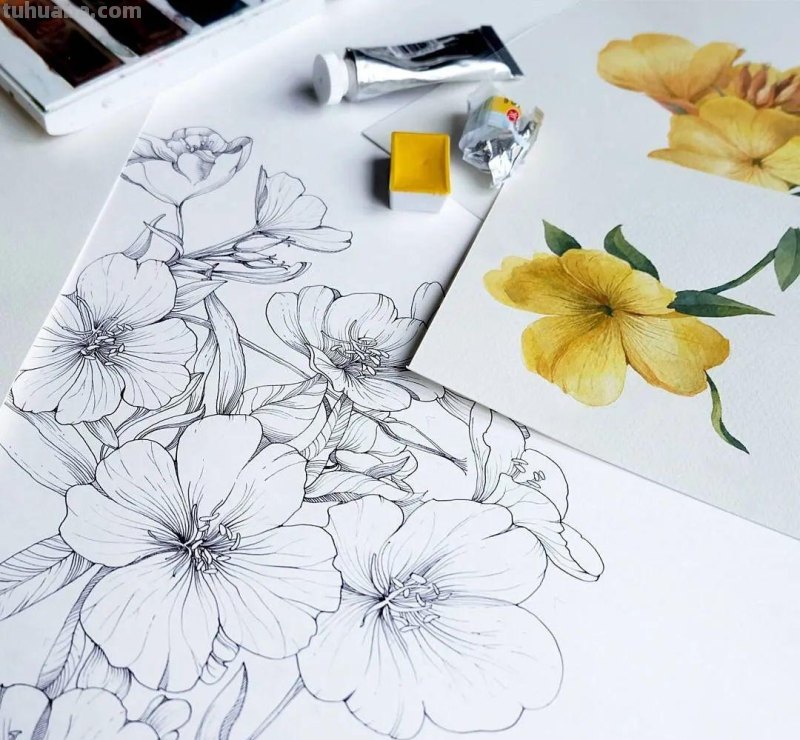 美醉，水彩女神笔下的插画，27万粉丝之疯狂，一笔一画吹爆了