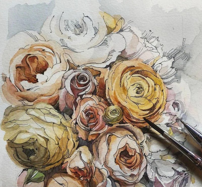 美醉，水彩女神笔下的插画，27万粉丝之疯狂，一笔一画吹爆了