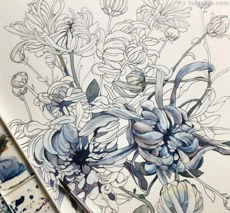 美醉，水彩女神笔下的插画，27万粉丝之疯狂，一笔一画吹爆了