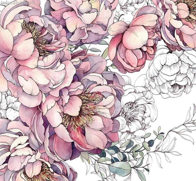 美醉，水彩女神笔下的插画，27万粉丝之疯狂，一笔一画吹爆了