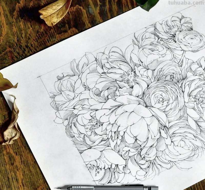 美醉，水彩女神笔下的插画，27万粉丝之疯狂，一笔一画吹爆了