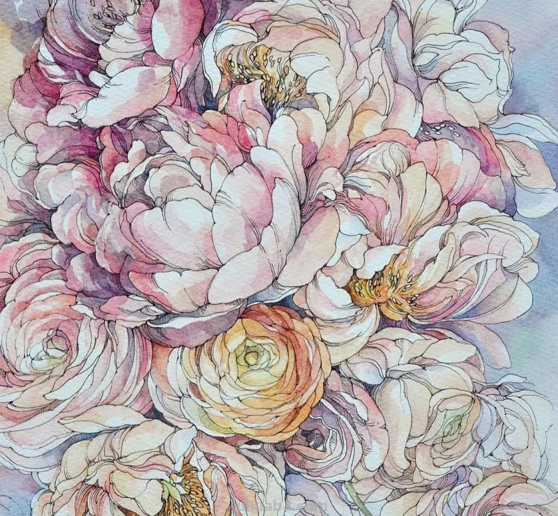 美醉，水彩女神笔下的插画，27万粉丝之疯狂，一笔一画吹爆了