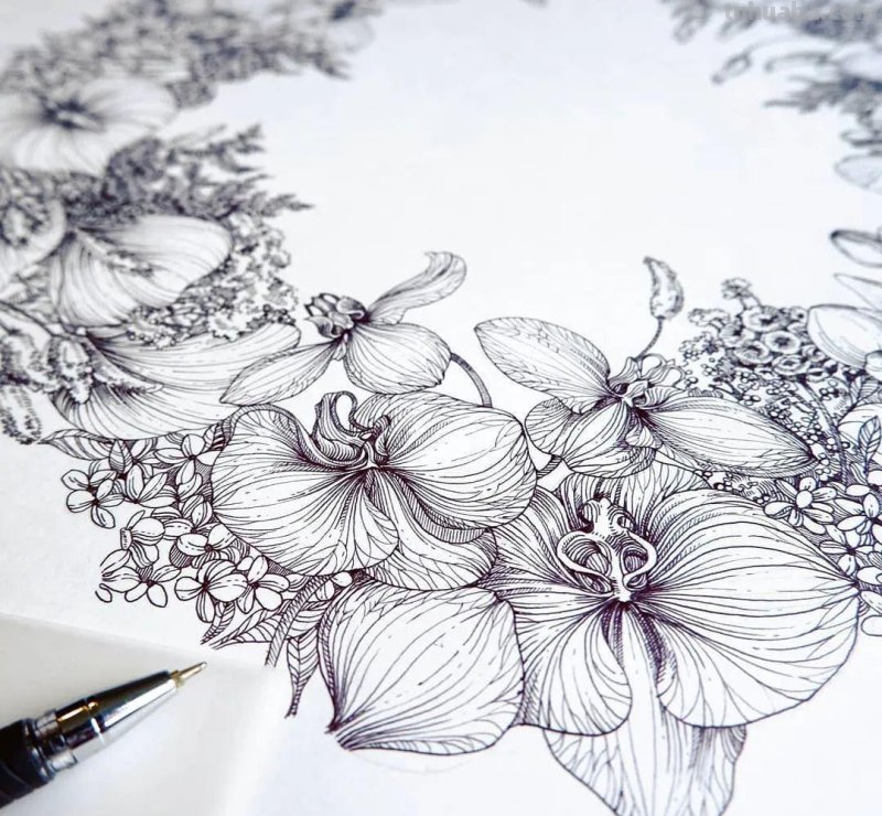 美醉，水彩女神笔下的插画，27万粉丝之疯狂，一笔一画吹爆了