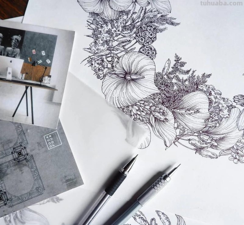 美醉，水彩女神笔下的插画，27万粉丝之疯狂，一笔一画吹爆了