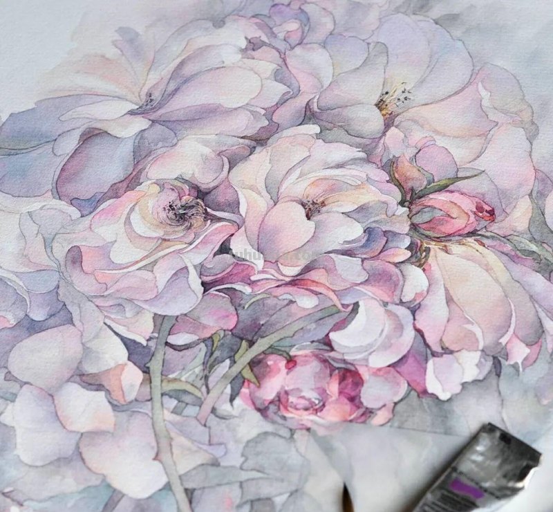 美醉，水彩女神笔下的插画，27万粉丝之疯狂，一笔一画吹爆了