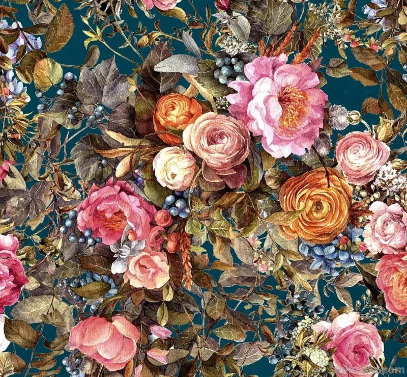 美醉，水彩女神笔下的插画，27万粉丝之疯狂，一笔一画吹爆了