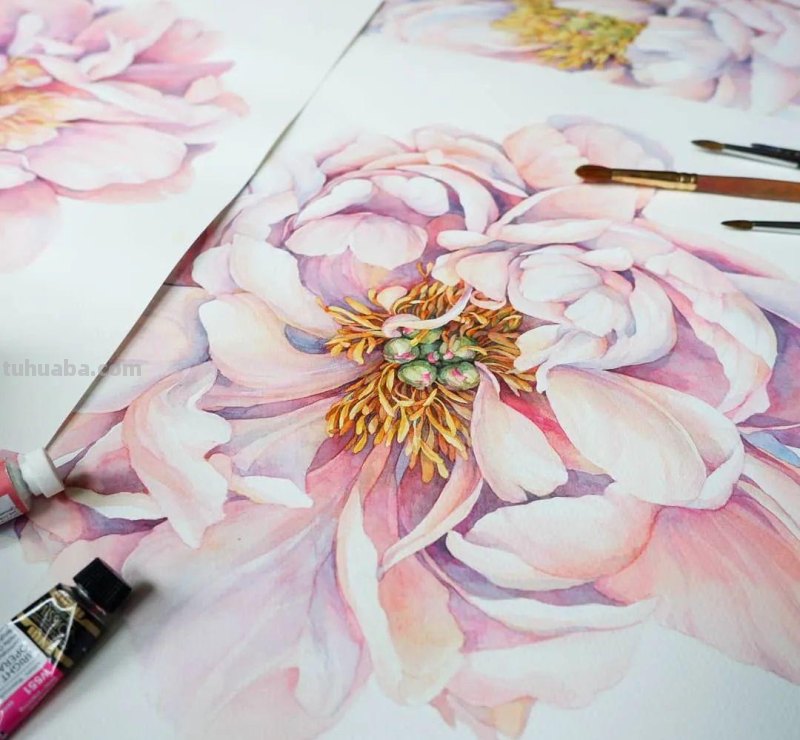 美醉，水彩女神笔下的插画，27万粉丝之疯狂，一笔一画吹爆了