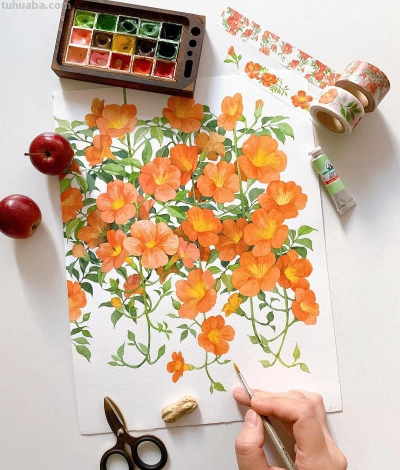 美醉，水彩女神笔下的插画，27万粉丝之疯狂，一笔一画吹爆了