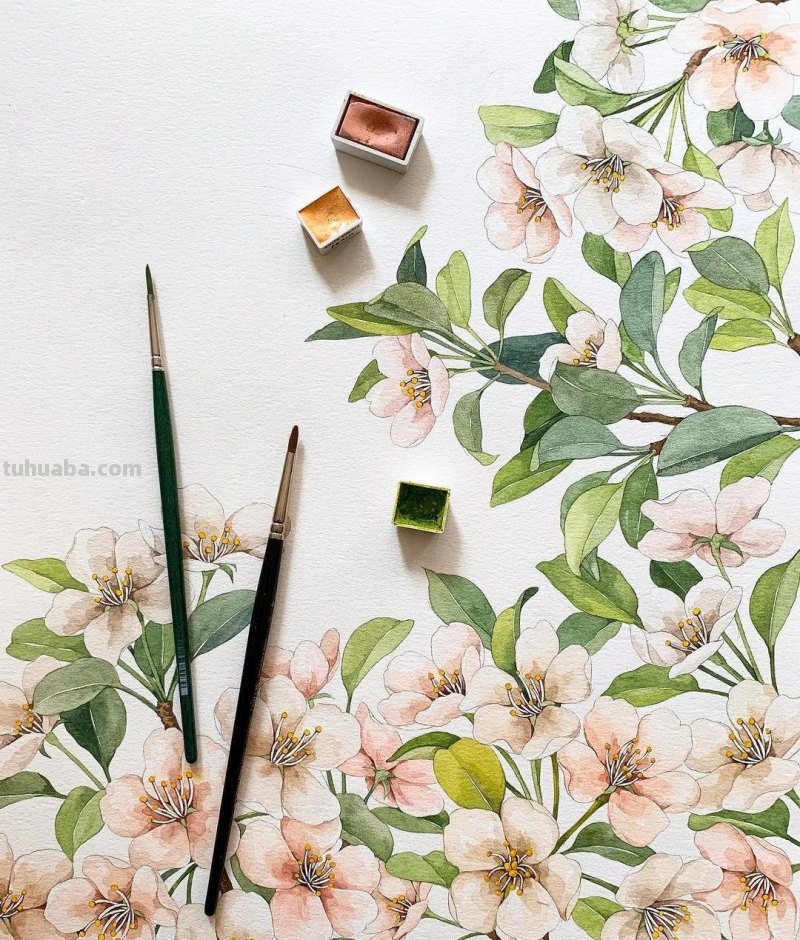 美醉，水彩女神笔下的插画，27万粉丝之疯狂，一笔一画吹爆了