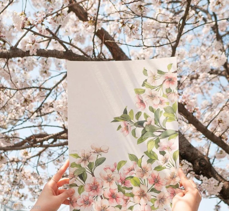 美醉，水彩女神笔下的插画，27万粉丝之疯狂，一笔一画吹爆了