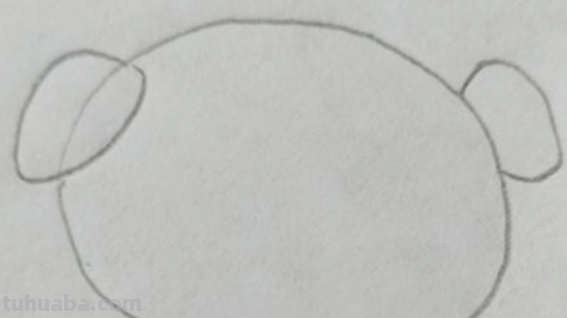 小猪简笔画怎么画