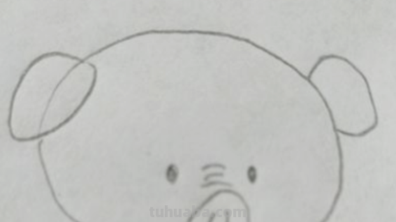 小猪简笔画怎么画