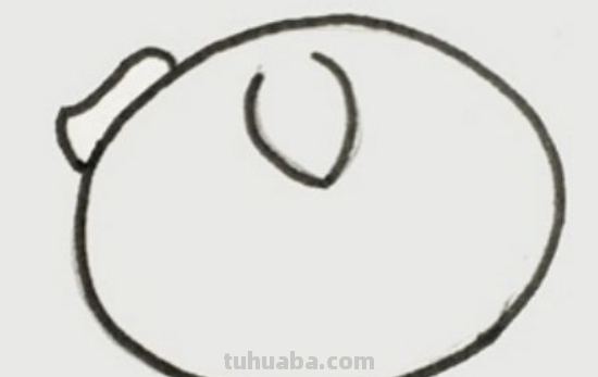 小猪怎么画简笔画