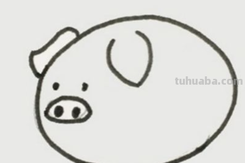 小猪怎么画简笔画
