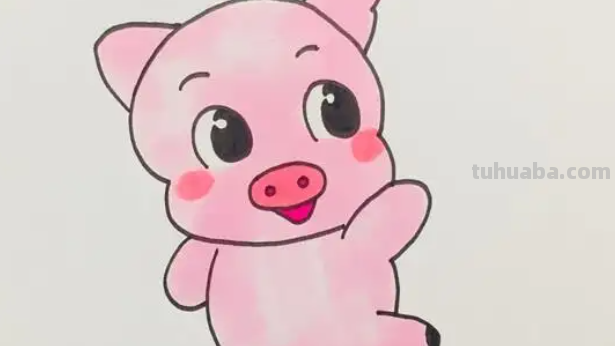 怎样画猪简单又好看