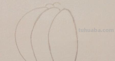 自己怎么画彩铅颜色 彩铅的上色技巧? 自己怎么画彩铅颜色 彩铅的上色技巧?