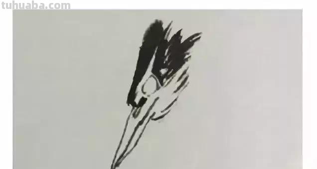 图文教程丨26幅花鸟,翠鸟的画法(太全了~) 图文教程丨26幅花鸟,翠鸟的画法(太全了~)