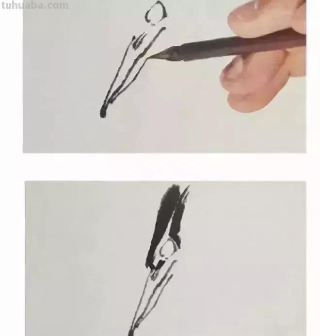 图文教程丨26幅花鸟,翠鸟的画法(太全了~) 图文教程丨26幅花鸟,翠鸟的画法(太全了~)