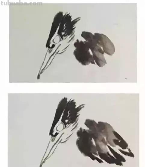 图文教程丨26幅花鸟,翠鸟的画法(太全了~) 图文教程丨26幅花鸟,翠鸟的画法(太全了~)