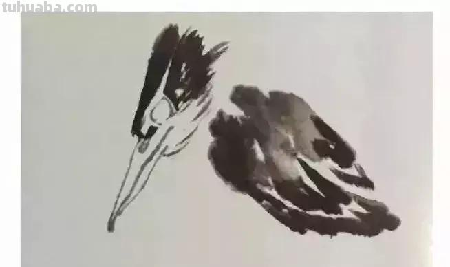 图文教程丨26幅花鸟,翠鸟的画法(太全了~) 图文教程丨26幅花鸟,翠鸟的画法(太全了~)