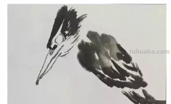 图文教程丨26幅花鸟,翠鸟的画法(太全了~) 图文教程丨26幅花鸟,翠鸟的画法(太全了~)