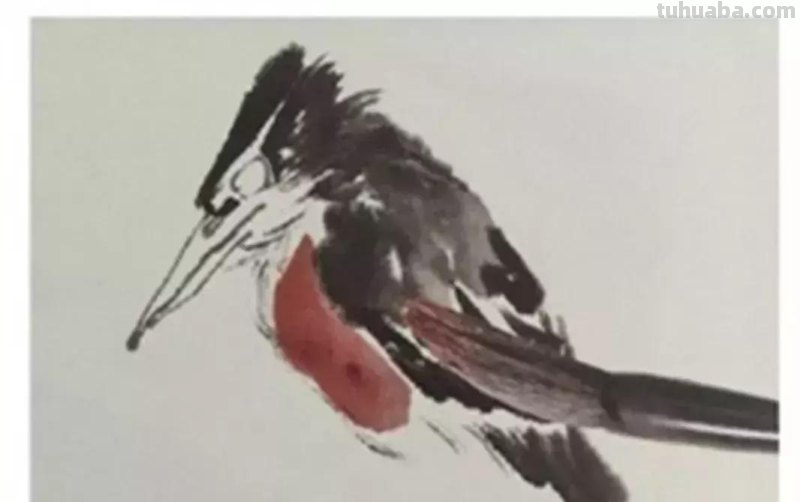 图文教程丨26幅花鸟,翠鸟的画法(太全了~) 图文教程丨26幅花鸟,翠鸟的画法(太全了~)