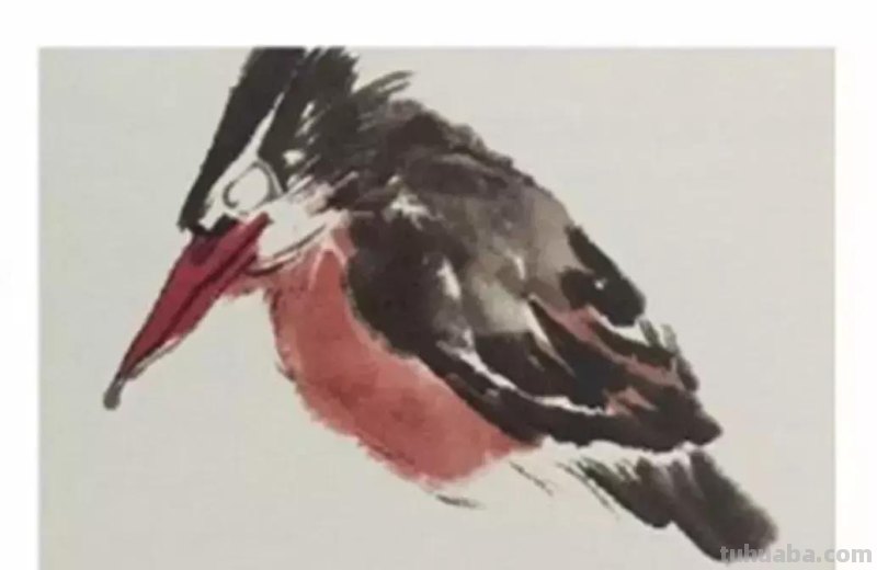 图文教程丨26幅花鸟,翠鸟的画法(太全了~) 图文教程丨26幅花鸟,翠鸟的画法(太全了~)