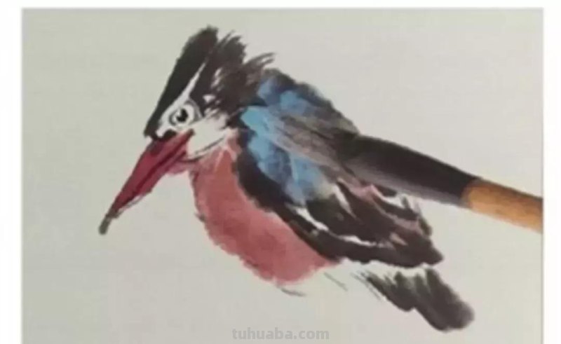 图文教程丨26幅花鸟,翠鸟的画法(太全了~) 图文教程丨26幅花鸟,翠鸟的画法(太全了~)