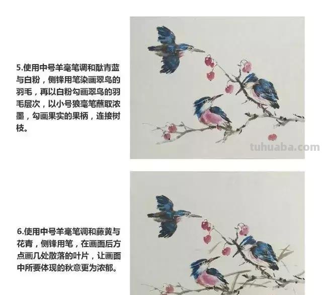 图文教程丨26幅花鸟,翠鸟的画法(太全了~) 图文教程丨26幅花鸟,翠鸟的画法(太全了~)
