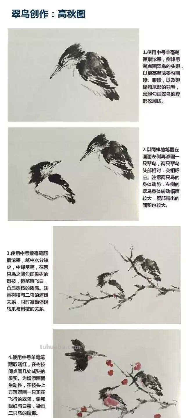 图文教程丨26幅花鸟,翠鸟的画法(太全了~) 图文教程丨26幅花鸟,翠鸟的画法(太全了~)