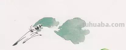 图文教程丨26幅花鸟,翠鸟的画法(太全了~) 图文教程丨26幅花鸟,翠鸟的画法(太全了~)