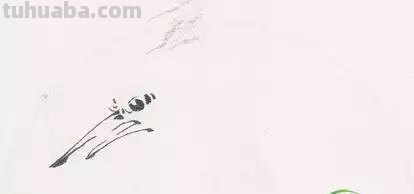 图文教程丨26幅花鸟,翠鸟的画法(太全了~) 图文教程丨26幅花鸟,翠鸟的画法(太全了~)