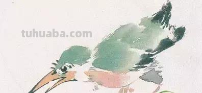 图文教程丨26幅花鸟,翠鸟的画法(太全了~) 图文教程丨26幅花鸟,翠鸟的画法(太全了~)