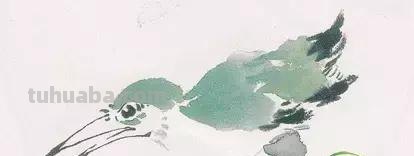 图文教程丨26幅花鸟,翠鸟的画法(太全了~) 图文教程丨26幅花鸟,翠鸟的画法(太全了~)