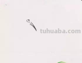 图文教程丨26幅花鸟,翠鸟的画法(太全了~) 图文教程丨26幅花鸟,翠鸟的画法(太全了~)