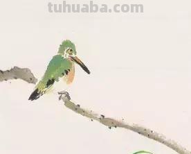 图文教程丨26幅花鸟,翠鸟的画法(太全了~) 图文教程丨26幅花鸟,翠鸟的画法(太全了~)