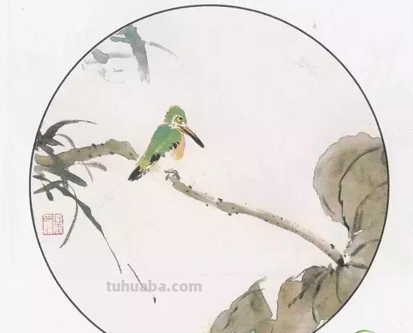 图文教程丨26幅花鸟,翠鸟的画法(太全了~) 图文教程丨26幅花鸟,翠鸟的画法(太全了~)