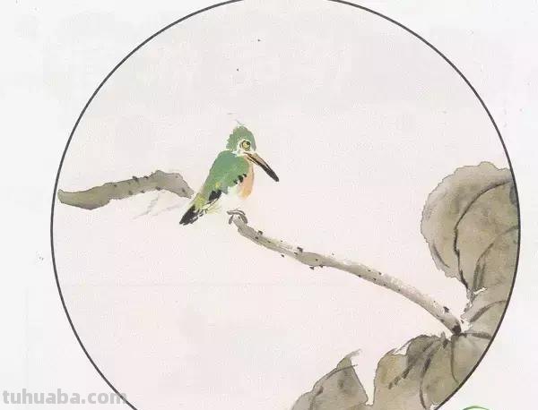 图文教程丨26幅花鸟,翠鸟的画法(太全了~) 图文教程丨26幅花鸟,翠鸟的画法(太全了~)