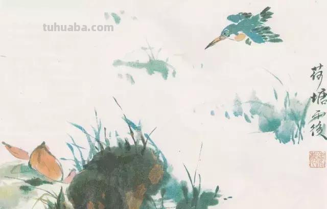 图文教程丨26幅花鸟,翠鸟的画法(太全了~) 图文教程丨26幅花鸟,翠鸟的画法(太全了~)